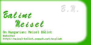 balint meisel business card